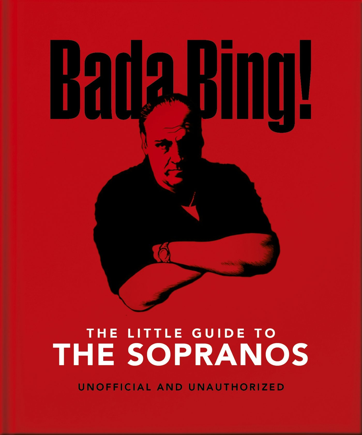 Book cover image for Bada Bing!: The Little Guide to The Sopranos ISBN: 9781800695597